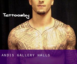 Andis Gallery (Halls)